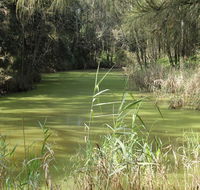 Second Ponds Creek walk - Accommodation Brunswick Heads