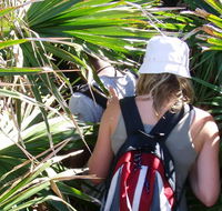 Palm Jungle loop track - Accommodation Brunswick Heads