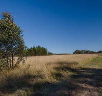 Scheyville horse riding trails - Accommodation Brunswick Heads