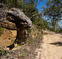 Canoelands Ridge walking track - Accommodation Brunswick Heads