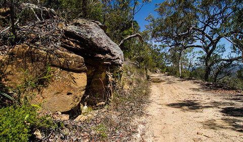 Canoelands Ridge Walking Track - Accommodation Brunswick Heads 0