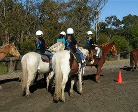Darkes Forest NSW Accommodation Brunswick Heads