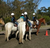 Darkes Forest Riding Ranch - Accommodation Brunswick Heads