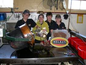 Melba's Chocolate And Confectionery Factory - Accommodation Brunswick Heads 1