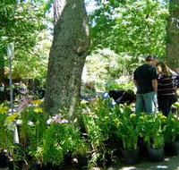 The Stirling Market - Accommodation Brunswick Heads