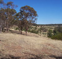 Onkaparinga River National Park - Accommodation Brunswick Heads