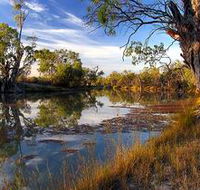 Murray River National Park - Accommodation Brunswick Heads