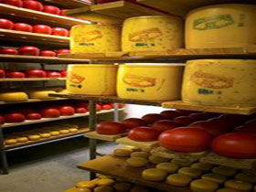 Alexandrina Cheese Company - Accommodation Brunswick Heads 0