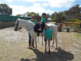 Animal Farm Goolwa - Accommodation Brunswick Heads 2