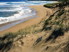 Waitpinga SA Accommodation Brunswick Heads