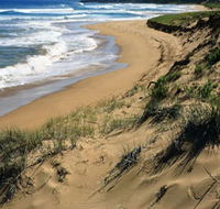 Newland Head Conservation Park - Accommodation Brunswick Heads