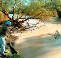 Charleville - Ward River Fishing Spot - Accommodation Brunswick Heads