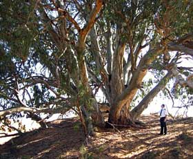Perry Sandhills - Accommodation Brunswick Heads 2