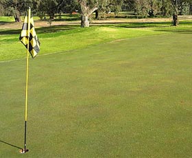 Wentworth Sporting Complex - Accommodation Brunswick Heads 0