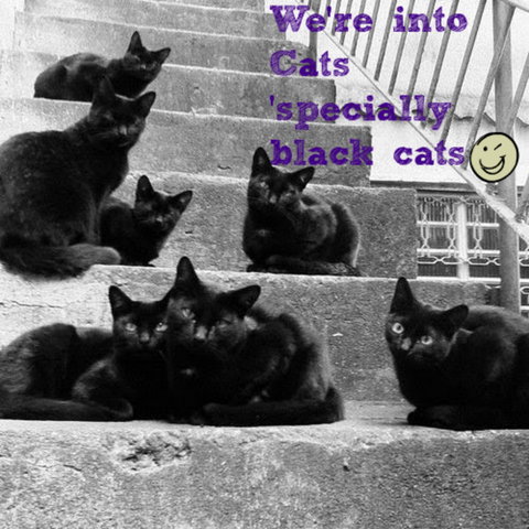 Gallery Serpentine - Accommodation Brunswick Heads 11