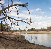 Toorale National Park - Accommodation Brunswick Heads