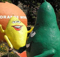 Orange World - Accommodation Brunswick Heads