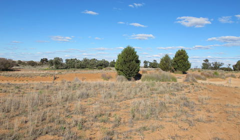 Zanci Pastoral Loop - Accommodation Brunswick Heads 3