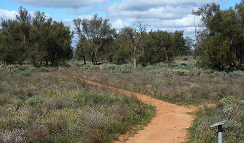 Grasslands Nature Trail - Accommodation Brunswick Heads 0