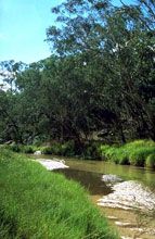 Salvator Rosa Section - Carnarvon National Park - Accommodation Brunswick Heads 0
