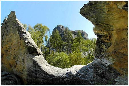 Salvator Rosa Section - Carnarvon National Park - Accommodation Brunswick Heads 1