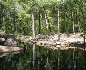Gubara - Accommodation Brunswick Heads 0