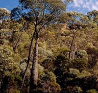 Ka Ka Mundi Carnarvon National Park - Accommodation Brunswick Heads