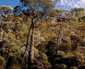 Ka Ka Mundi, Carnarvon National Park - Accommodation Brunswick Heads 0