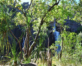Manngarre Rainforest Walk - Accommodation Brunswick Heads 1