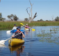 Marsh Meanders - Accommodation Brunswick Heads