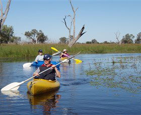 Marsh Meanders - Accommodation Brunswick Heads 0