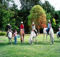 Limestone Coast Horseriding - Accommodation Brunswick Heads