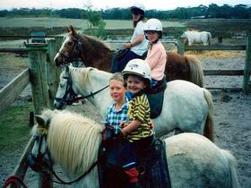 Limestone Coast Horseriding - Accommodation Brunswick Heads 1