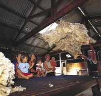 Shear Outback the Australian Shearers Hall of Fame - Accommodation Brunswick Heads