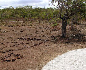 Wurrwurrwuy (Garanhan) Macassan Beach Interpretive Walk - Accommodation Brunswick Heads 0
