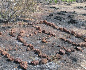 Wurrwurrwuy (Garanhan) Macassan Beach Interpretive Walk - Accommodation Brunswick Heads 3