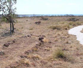 Wurrwurrwuy (Garanhan) Macassan Beach Interpretive Walk - Accommodation Brunswick Heads 5
