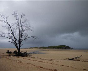 Dhamitjinya (East Woody Island) And Galaru (East Woody Beach) - Accommodation Brunswick Heads 3