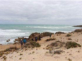 The Seaview Walking Trail - Accommodation Brunswick Heads 0