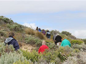 The Seaview Walking Trail - Accommodation Brunswick Heads 2