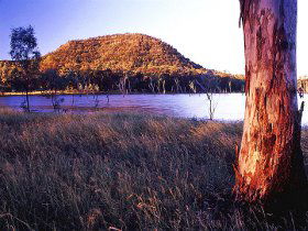 Nuga Nuga National Park And Lake Nuga Nuga - Accommodation Brunswick Heads 2