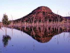 Nuga Nuga National Park And Lake Nuga Nuga - Accommodation Brunswick Heads 3