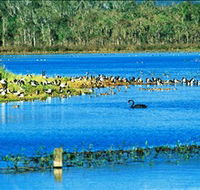 Hasties Swamp National Park - Accommodation Brunswick Heads