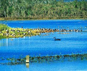 Hasties Swamp National Park - Accommodation Brunswick Heads 0