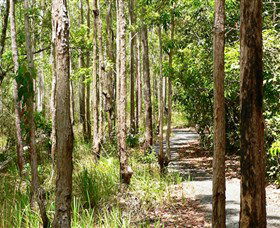 Hallorans Hill Conservation Park - Accommodation Brunswick Heads 0
