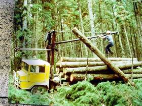 Nangwarry Forestry And Logging Museum - Accommodation Brunswick Heads 3