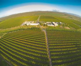 Golden Drop Winery - Accommodation Brunswick Heads 0