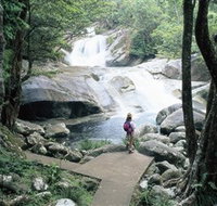 Josephine Falls Wooroonooran National Park - Accommodation Brunswick Heads