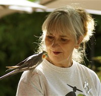 Simply Tomatoes - Accommodation Brunswick Heads