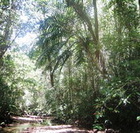 Mount Lewis National Park - Accommodation Brunswick Heads